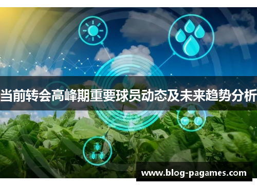 当前转会高峰期重要球员动态及未来趋势分析