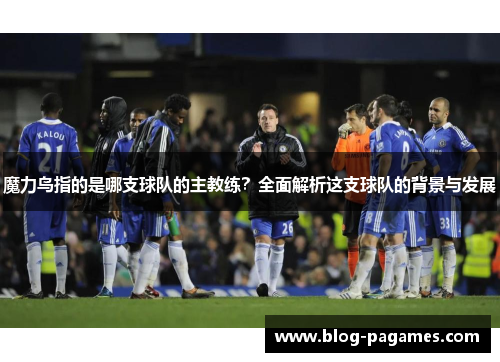 魔力鸟指的是哪支球队的主教练？全面解析这支球队的背景与发展
