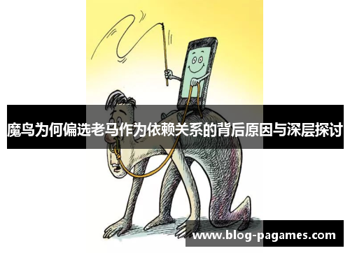 魔鸟为何偏选老马作为依赖关系的背后原因与深层探讨