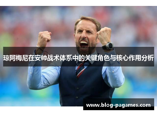 琼阿梅尼在安帅战术体系中的关键角色与核心作用分析