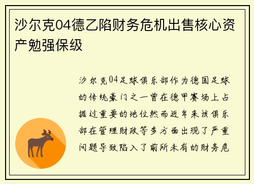 沙尔克04德乙陷财务危机出售核心资产勉强保级