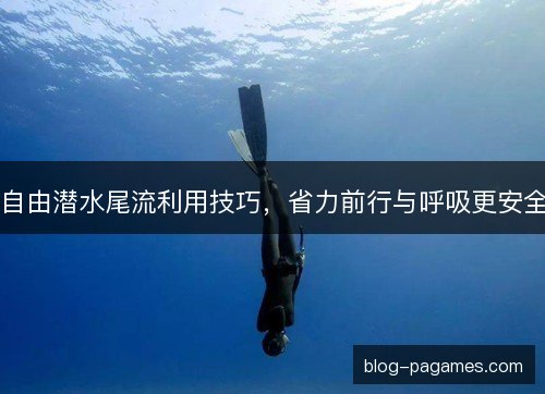 自由潜水尾流利用技巧，省力前行与呼吸更安全