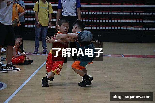 了解PA电子